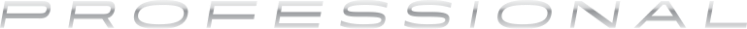 Profesyonel